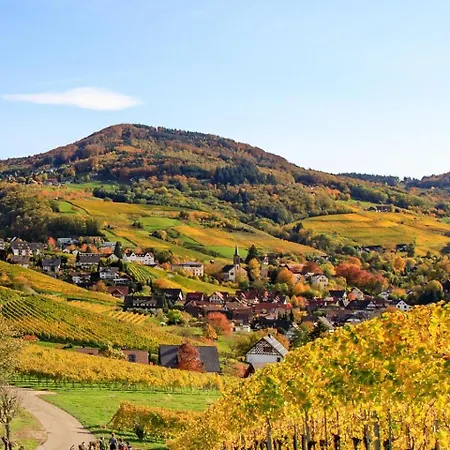 Waldnest - - Schwarzwald בול